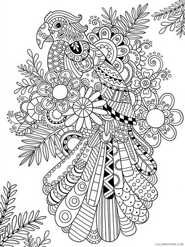 Bird Zentangle Coloring Pages zentangle parrot 14 Printable 2020 714 Coloring4free