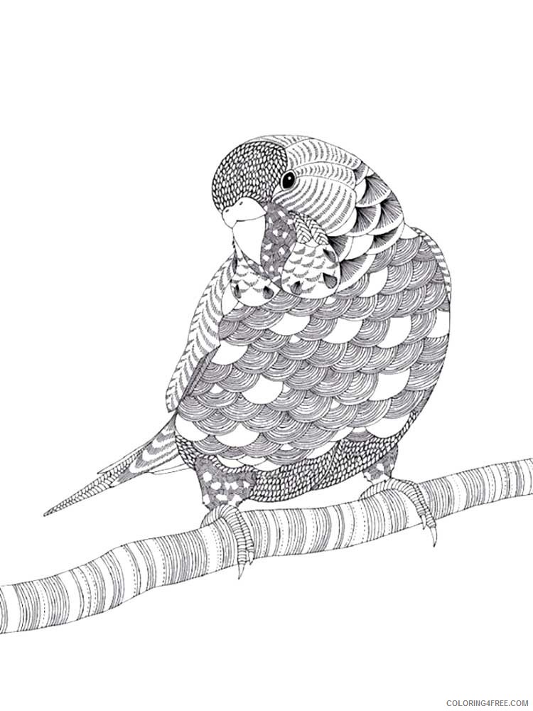 Bird Zentangle Coloring Pages zentangle parrot 15 Printable 2020 715 Coloring4free