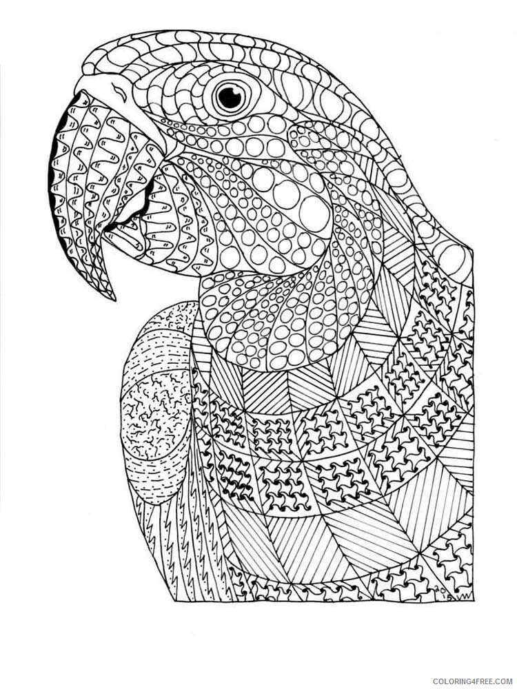Bird Zentangle Coloring Pages zentangle parrot 16 Printable 2020 716 Coloring4free