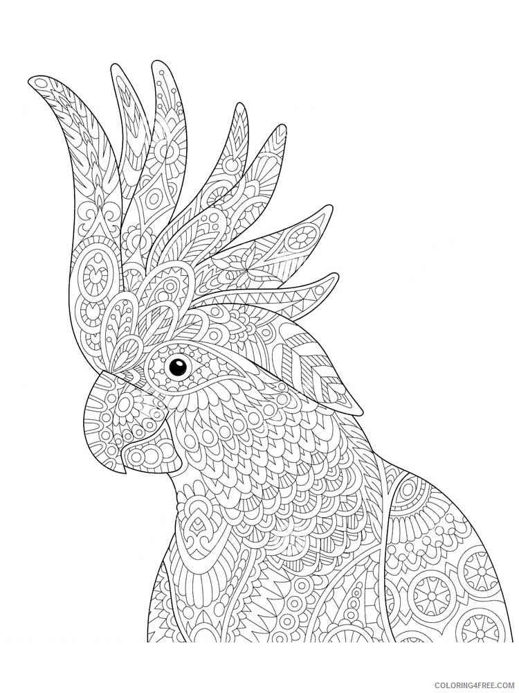 Bird Zentangle Coloring Pages zentangle parrot 17 Printable 2020 717 Coloring4free