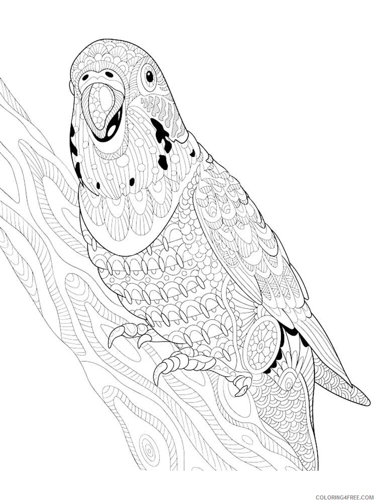 Bird Zentangle Coloring Pages zentangle parrot 18 Printable 2020 718 Coloring4free