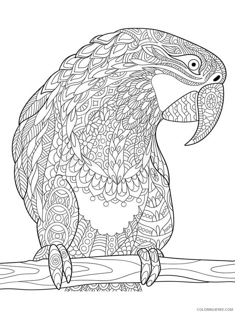 Bird Zentangle Coloring Pages zentangle parrot 19 Printable 2020 719 Coloring4free