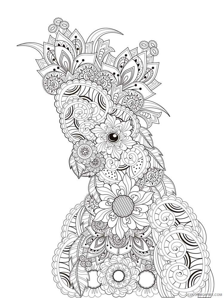 Bird Zentangle Coloring Pages zentangle parrot 2 Printable 2020 720 Coloring4free