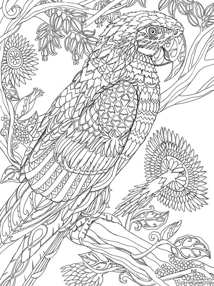 Bird Zentangle Coloring Pages zentangle parrot 6 Printable 2020 721 Coloring4free