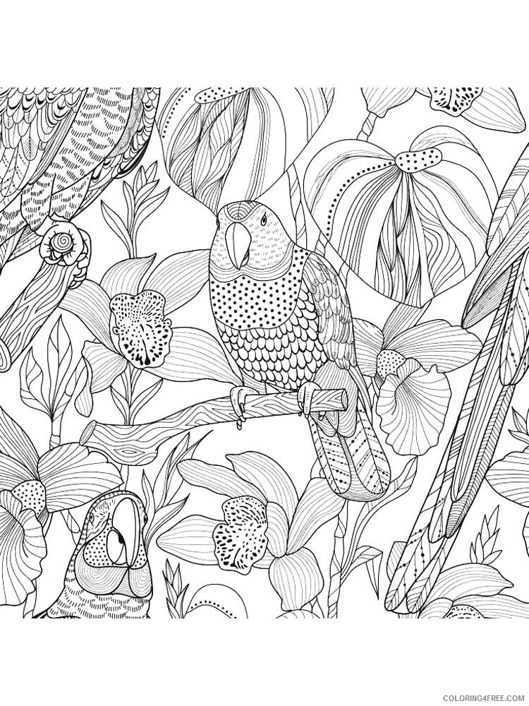 Bird Zentangle Coloring Pages zentangle parrot 8 Printable 2020 722 Coloring4free