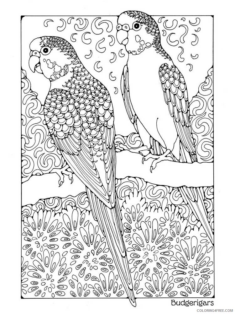 Bird Zentangle Coloring Pages zentangle parrot 9 Printable 2020 723 Coloring4free