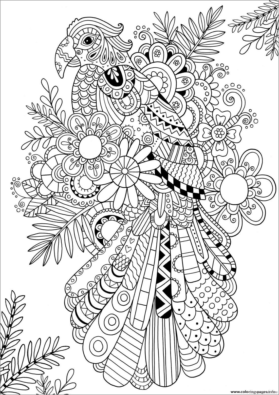 Bird Zentangle Coloring Pages zentangle parrot for adult unsmushed Printable 2020 709 Coloring4free