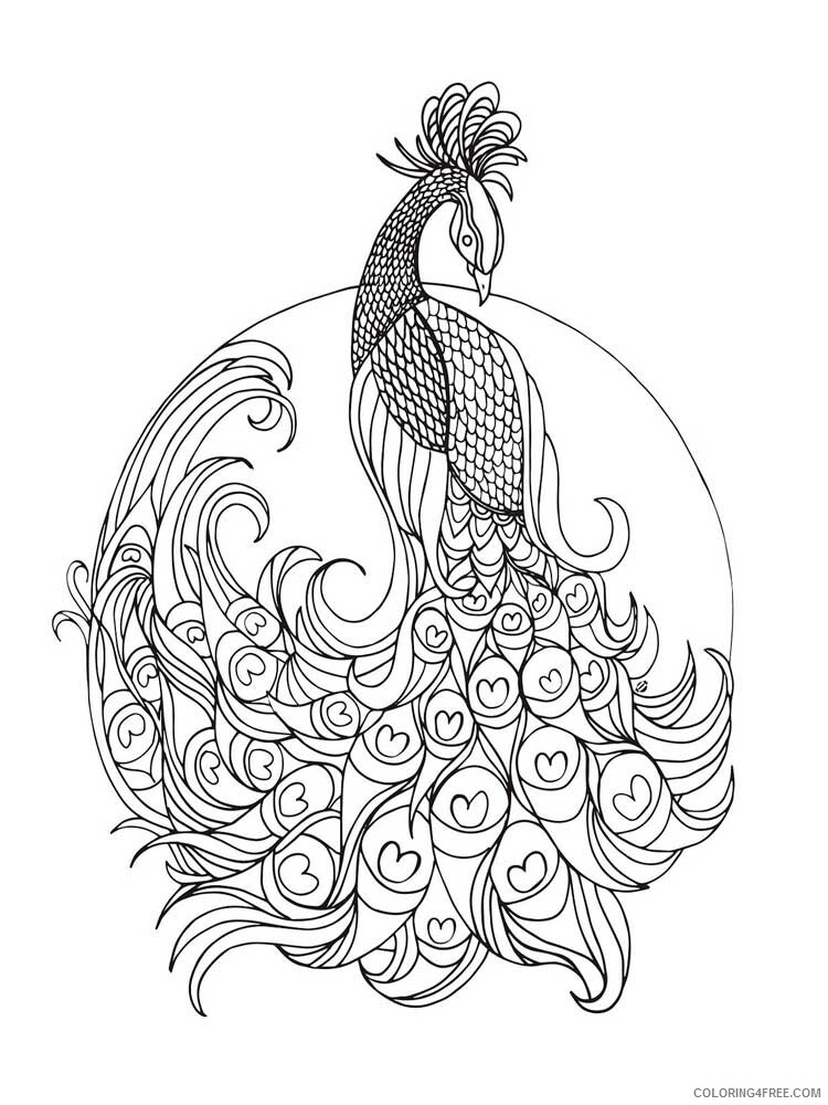 Bird Zentangle Coloring Pages zentangle peacock 10 Printable 2020 724 Coloring4free
