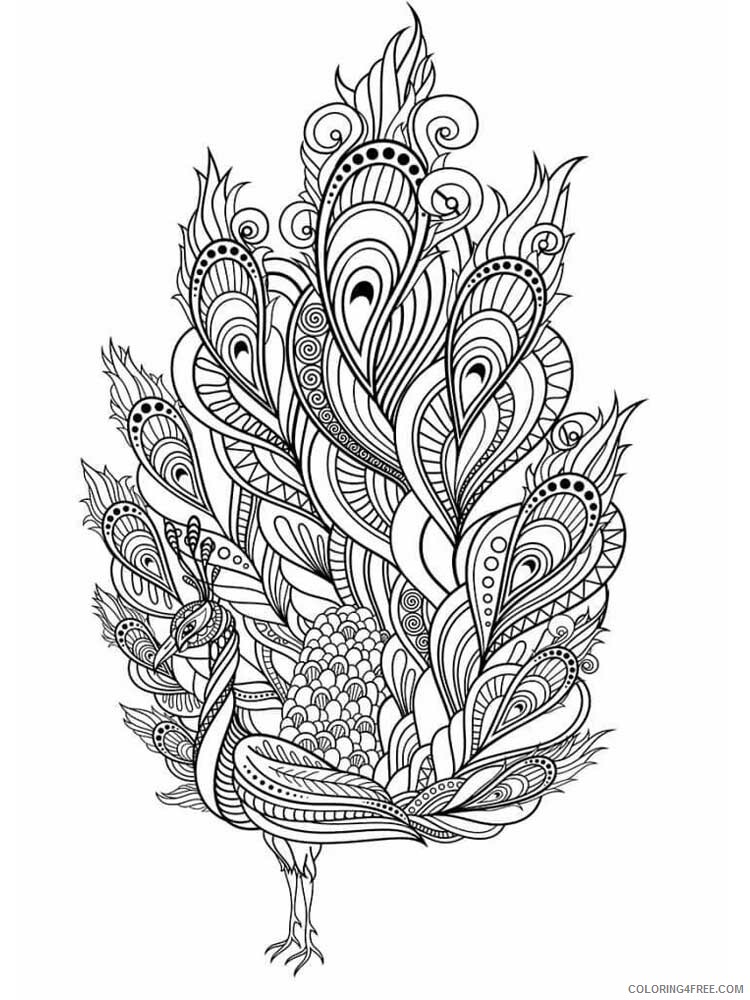 Bird Zentangle Coloring Pages zentangle peacock 12 Printable 2020 725 Coloring4free
