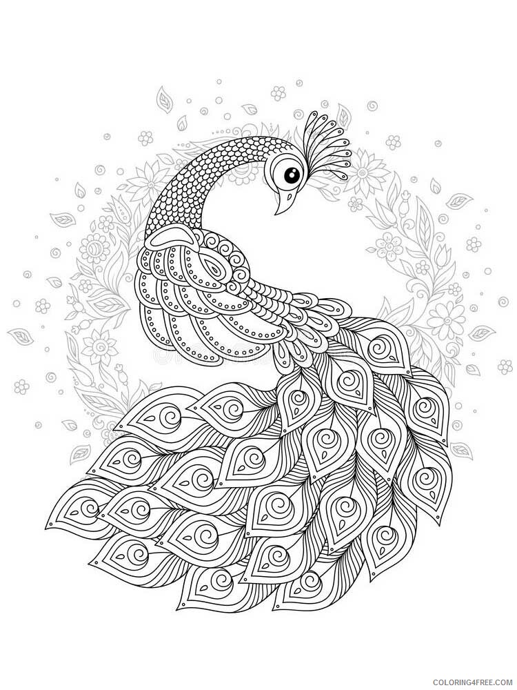 Bird Zentangle Coloring Pages zentangle peacock 14 Printable 2020 727 Coloring4free