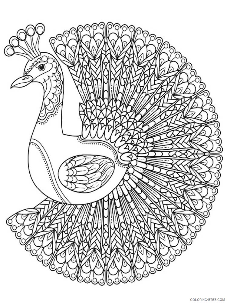 Bird Zentangle Coloring Pages zentangle peacock 4 Printable 2020 730 Coloring4free