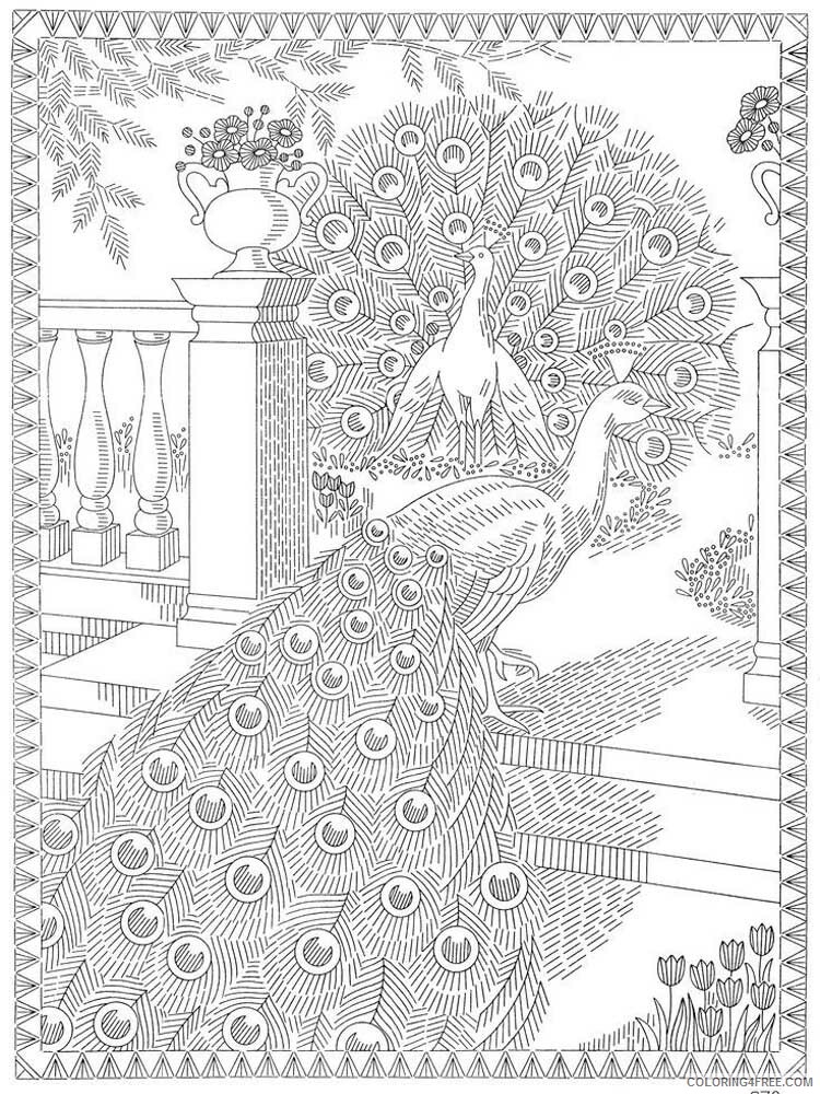 Bird Zentangle Coloring Pages zentangle peacock 5 Printable 2020 731 Coloring4free