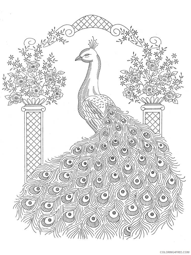 Bird Zentangle Coloring Pages zentangle peacock 9 Printable 2020 733 Coloring4free
