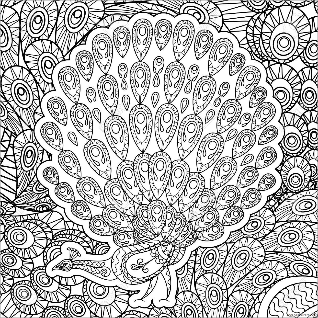 Bird Zentangle Coloring Pages zentangle peacock unsmushed Printable 2020 734 Coloring4free