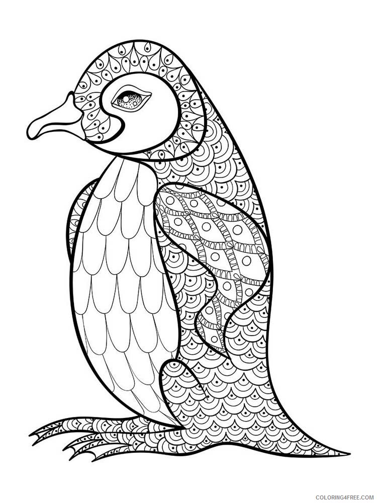 Bird Zentangle Coloring Pages zentangle penguin 5 Printable 2020 743 Coloring4free