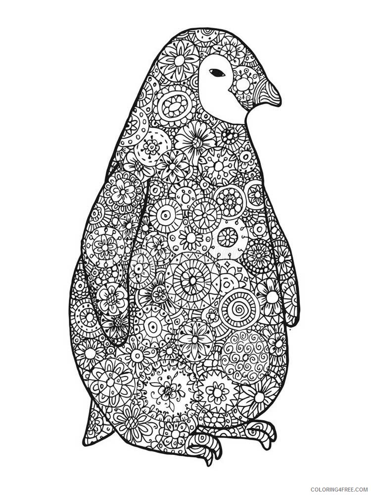 Bird Zentangle Coloring Pages zentangle penguin 9 Printable 2020 747 Coloring4free