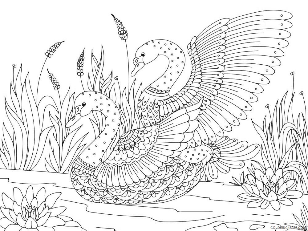Bird Zentangle Coloring Pages zentangle swan 4 Printable 2020 750 Coloring4free