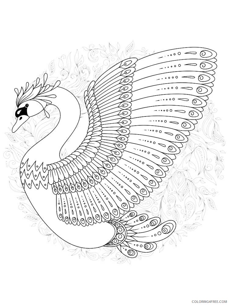 Bird Zentangle Coloring Pages zentangle swan 8 Printable 2020 752 Coloring4free