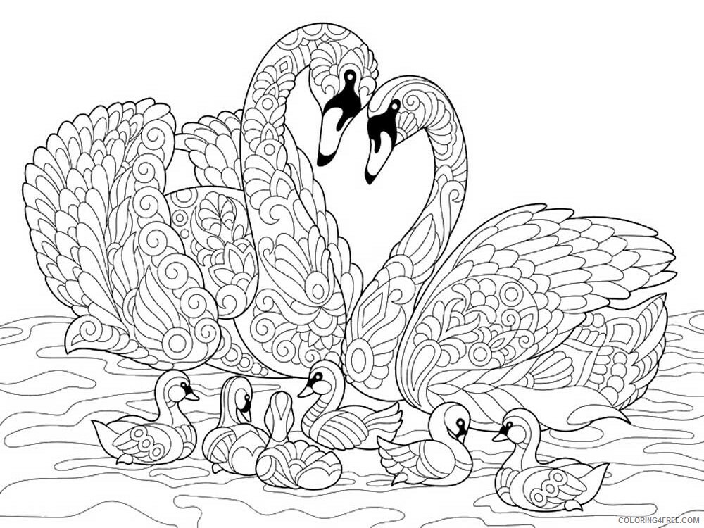 Bird Zentangle Coloring Pages zentangle swan 9 Printable 2020 753 Coloring4free