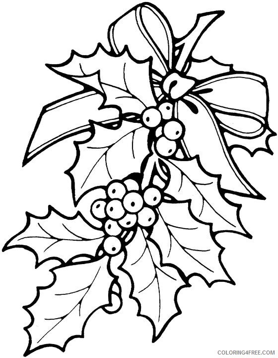 Christmas Holly Coloring Pages Christmas Holly Printable 2020 217 Coloring4free