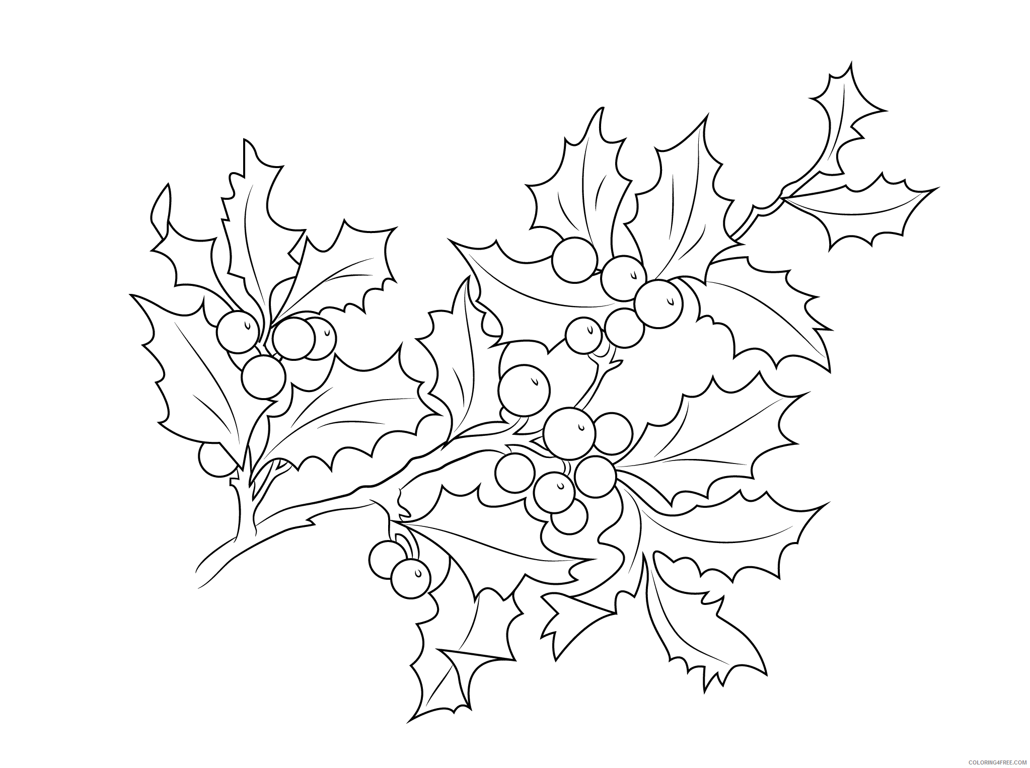 Christmas Holly Coloring Pages Christmas Holly Printable 2020 218 Coloring4free