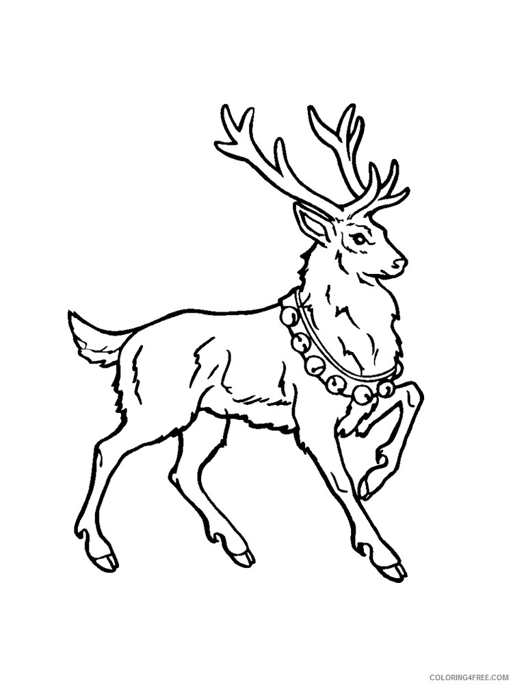 Christmas Reindeer Coloring Pages Reindeer 16 Printable 2020 269 Coloring4free