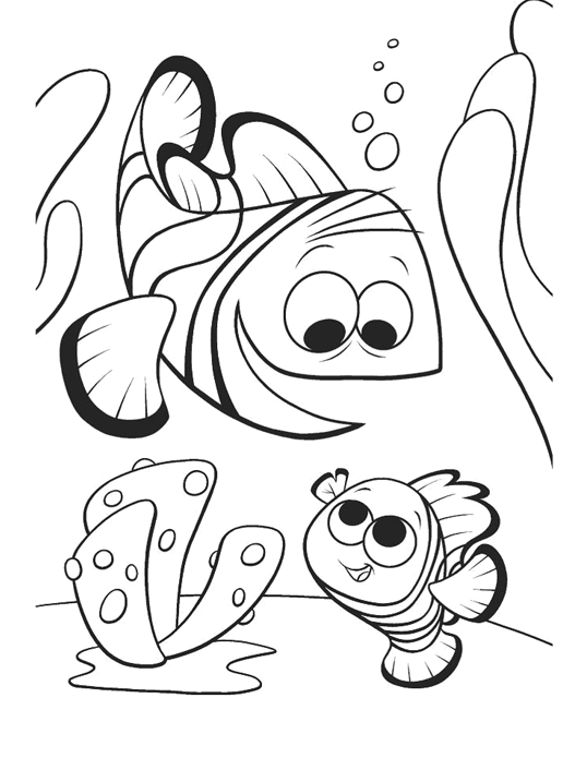 Finding Dory Coloring Pages TV Film Free Dory Printable 2020 02794 Coloring4free