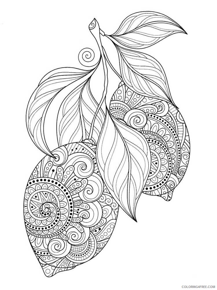 Fruit Zentangle Coloring Pages zentangle fruit 5 Printable 2020 801 Coloring4free
