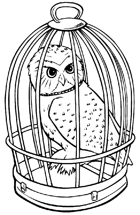 Harry Potter Coloring Pages TV Film harry potter owl Printable 2020 03538 Coloring4free