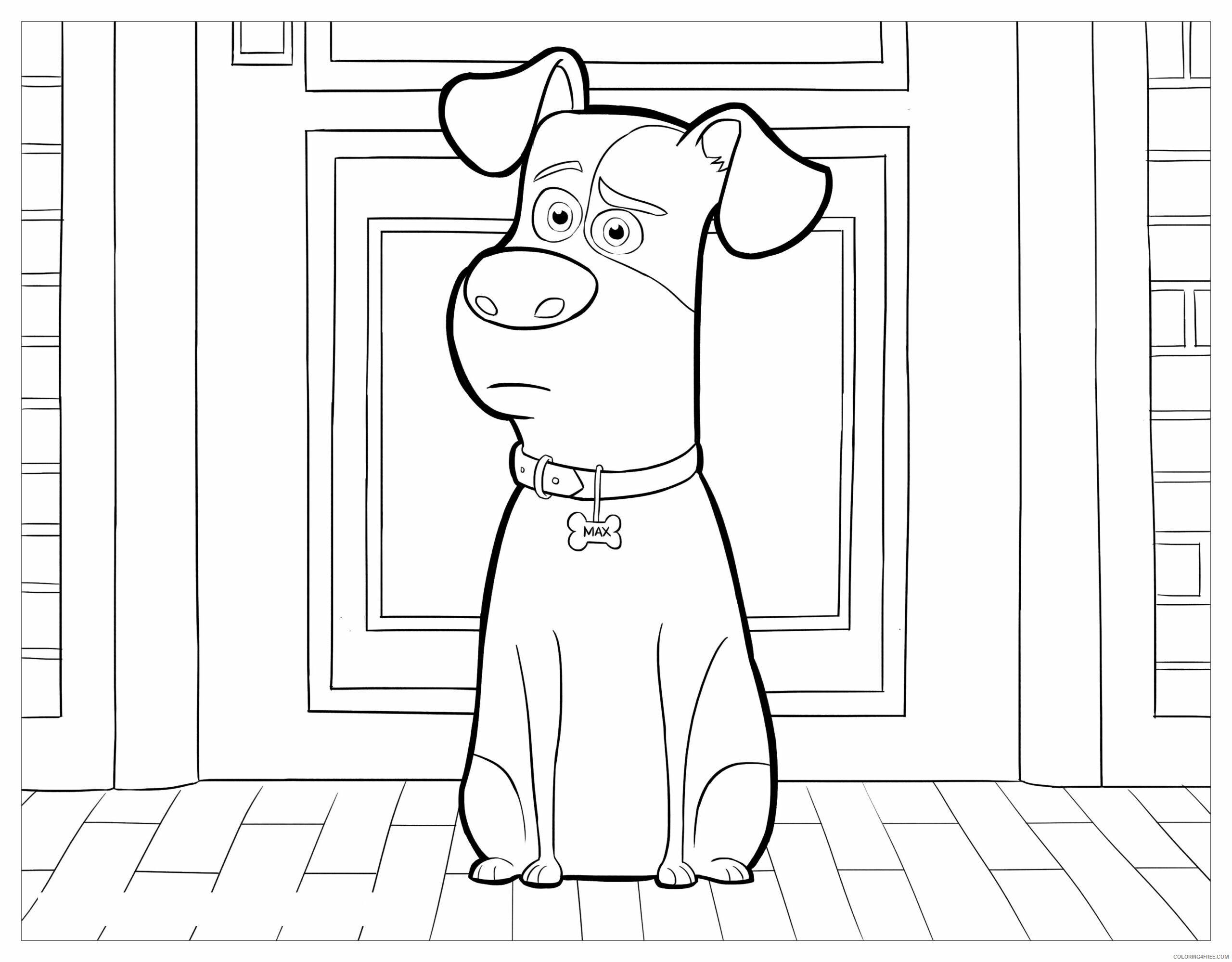 The Secret Life of Pets Coloring Pages TV Film Printable 2020 09527 Coloring4free