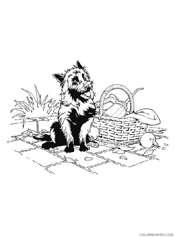 The Wizard of Oz Coloring Pages TV Film Toto Printable 2020 09871 Coloring4free