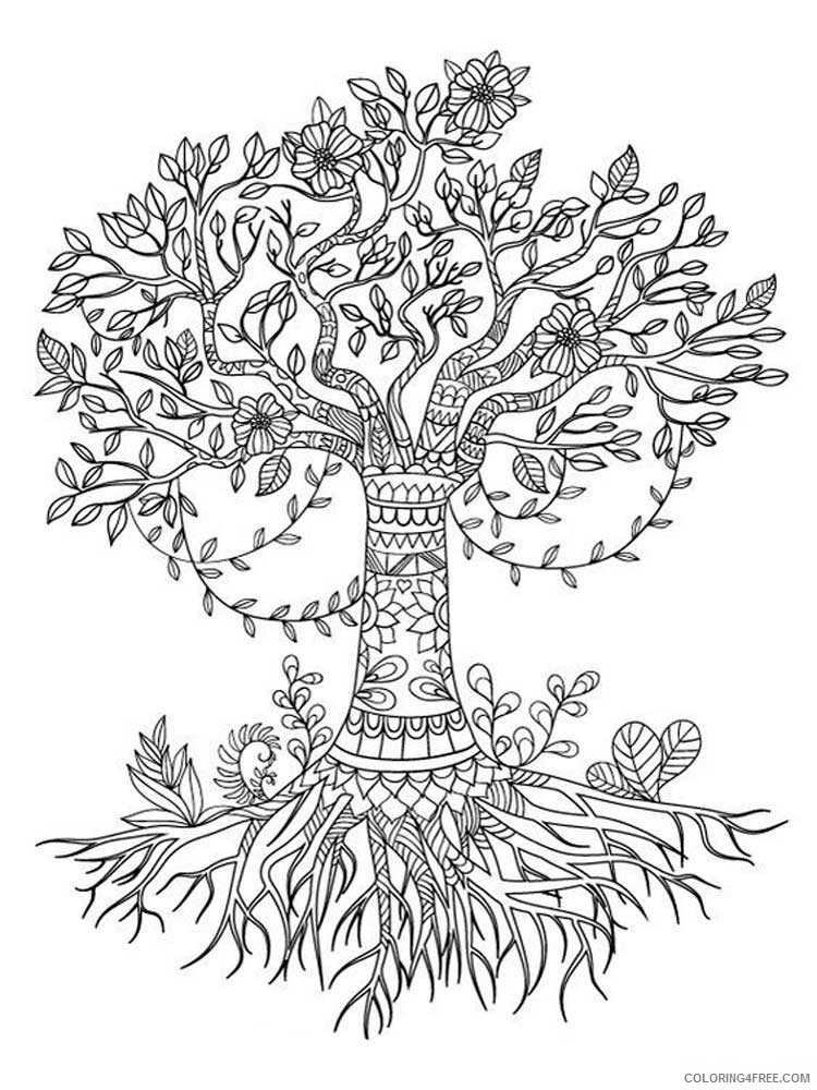 Tree Zentangle Coloring Pages zentangle oak 1 Printable 2020 854 Coloring4free