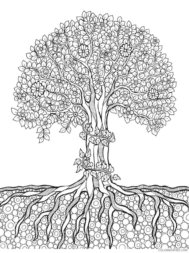 Tree Zentangle Coloring Pages zentangle oak 4 Printable 2020 857 Coloring4free