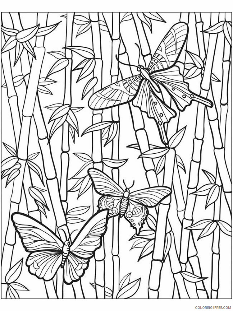 Zentangle Coloring Pages zentangle bamboo 3 Printable 2020 072 Coloring4free