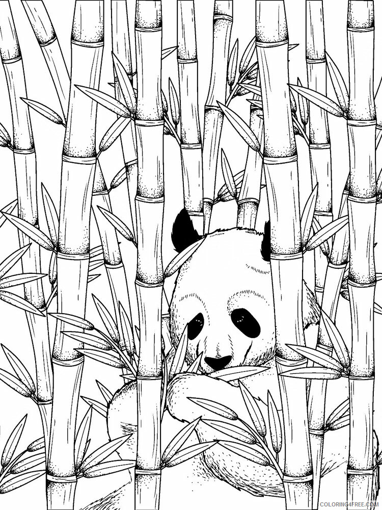 Zentangle Coloring Pages zentangle bamboo 7 Printable 2020 074 Coloring4free