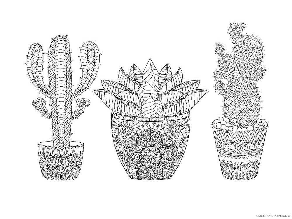 Zentangle Coloring Pages zentangle cactus 6 Printable 2020 079 Coloring4free