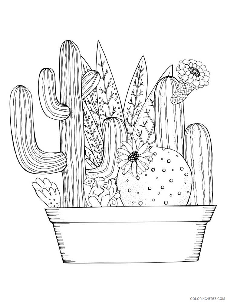 Zentangle Coloring Pages zentangle cactus 7 Printable 2020 080 Coloring4free