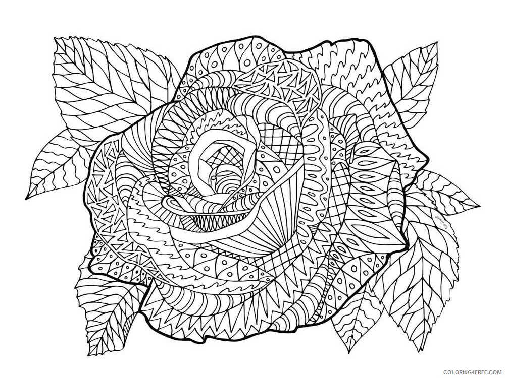 Zentangle Coloring Pages zentangle rose 4 Printable 2020 099 Coloring4free