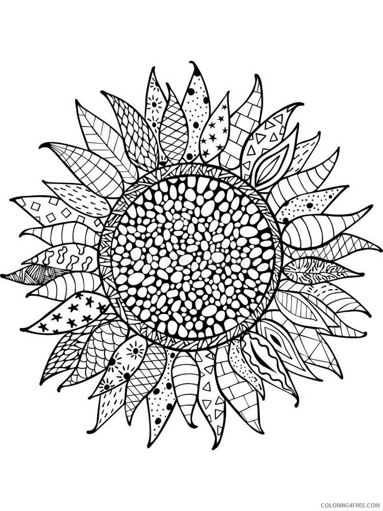 Zentangle Coloring Pages zentangle sunflower 5 Printable 2020 110 Coloring4free