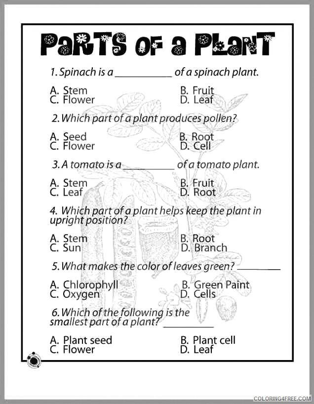 2nd Grade Coloring Pages Educational Worksheets Plants Printable 2020 0124 Coloring4free