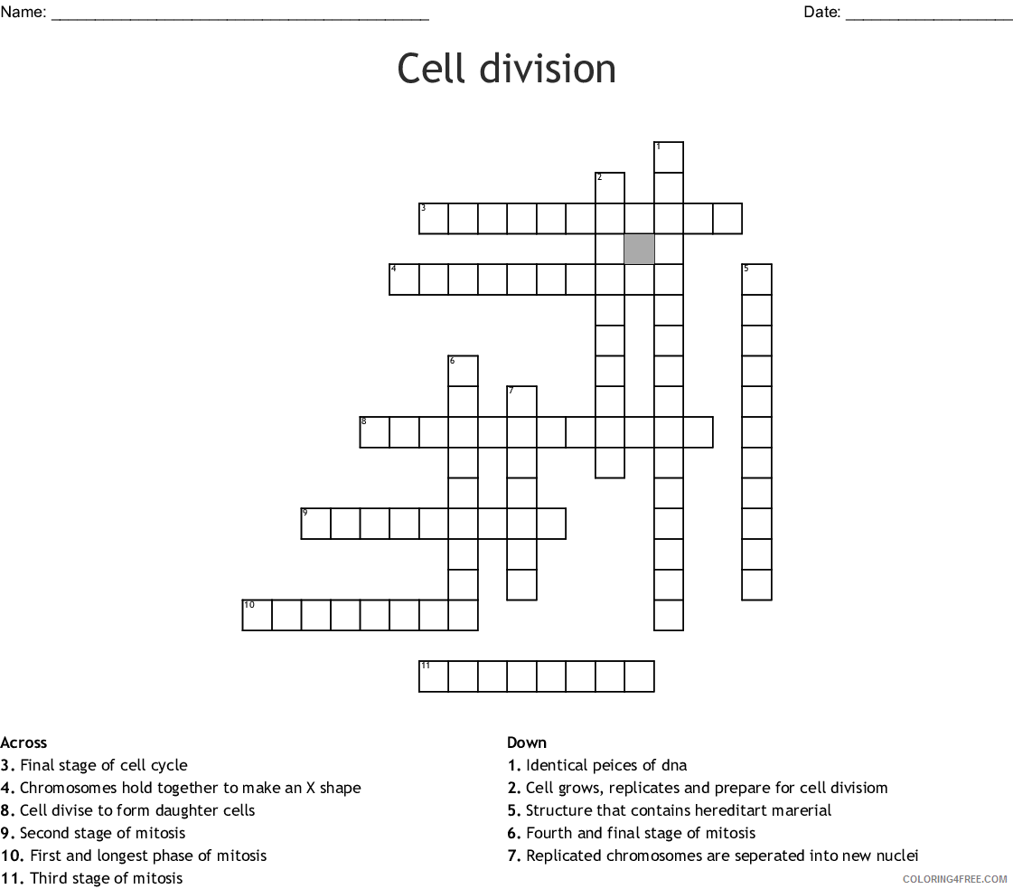 4th Grade Coloring Pages Educational Cell Division Science Worksheet 2020 0370 Coloring4free