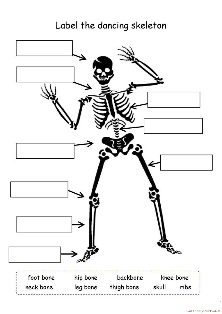4th Grade Coloring Pages Educational Skeleton Science Worksheet Print 2020 0377 Coloring4free