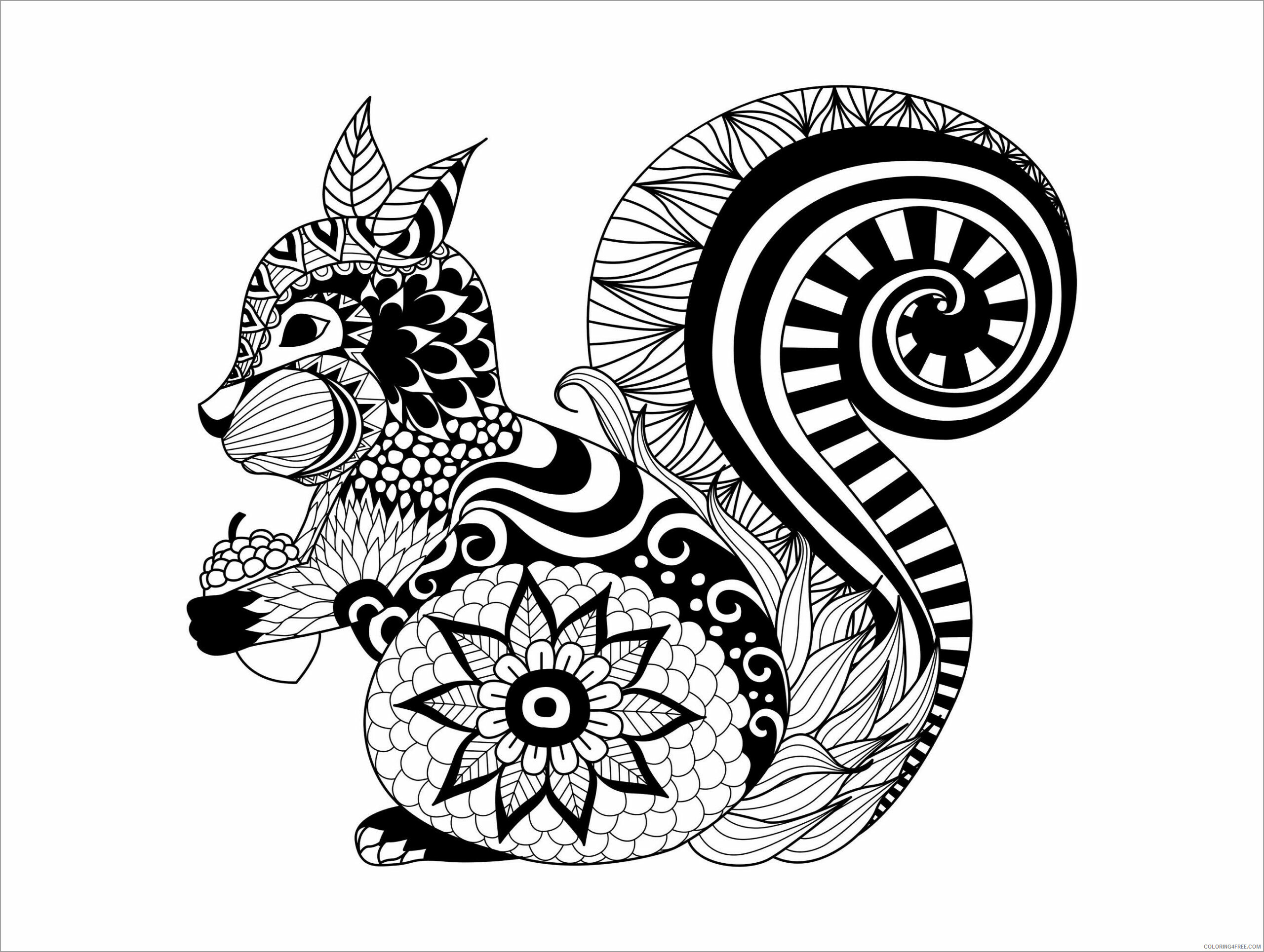 Abstract Coloring Pages Adult abstract animals squirrel Printable 2020 022 Coloring4free