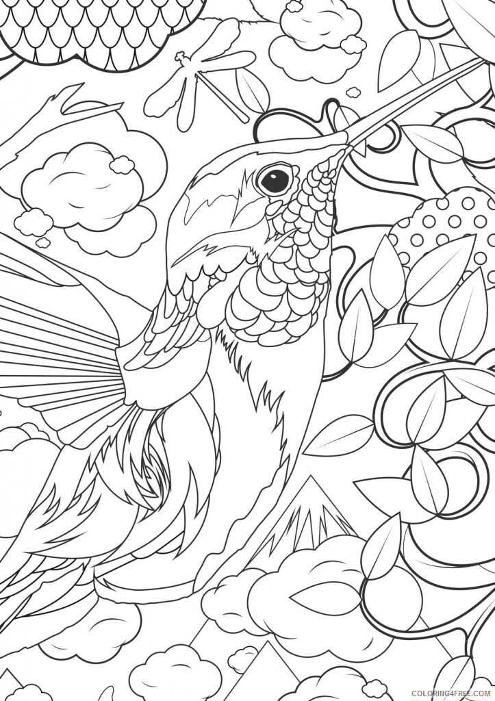 Adult Animals Coloring Pages Animal for Adults Hummingbird Printable 2020 122 Coloring4free
