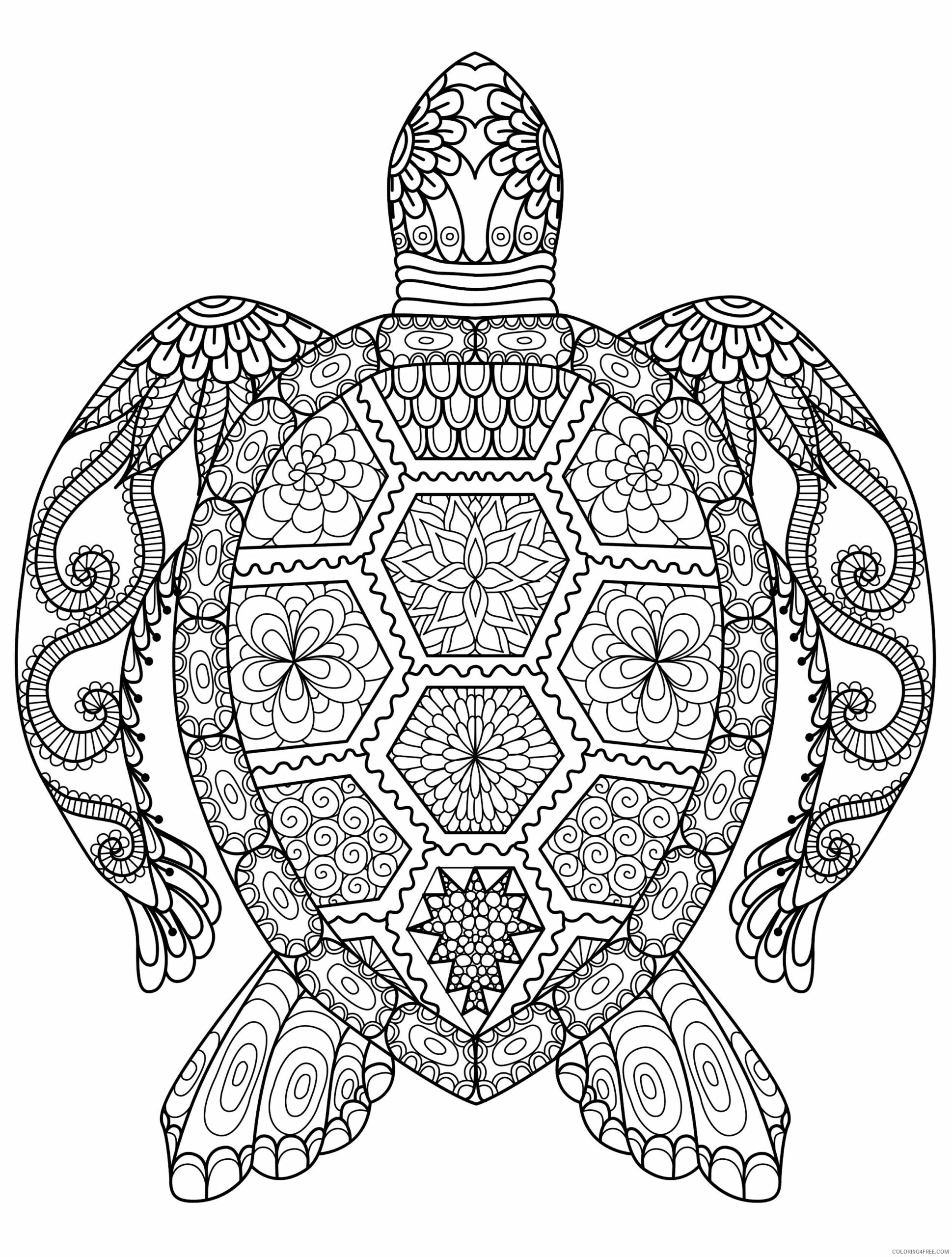 Adult Animals Coloring Pages Animal for Adults Turtle Printable 2020 128 Coloring4free