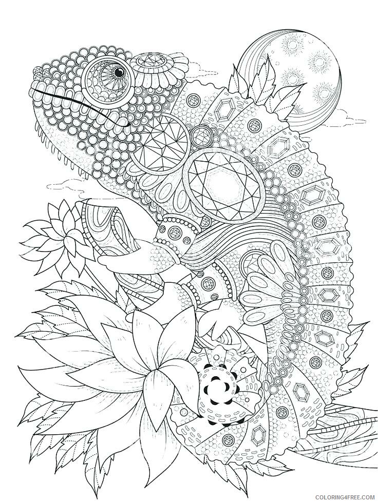 Adult Animals Coloring Pages Chameleon for Adults Printable 2020 133 Coloring4free