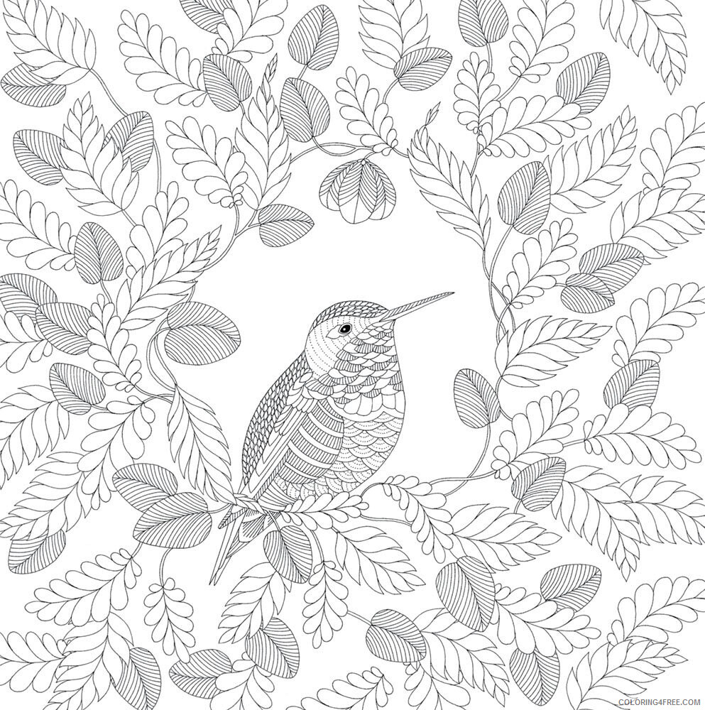 Adult Animals Coloring Pages Free Animal for Adults Printable 2020 153 Coloring4free