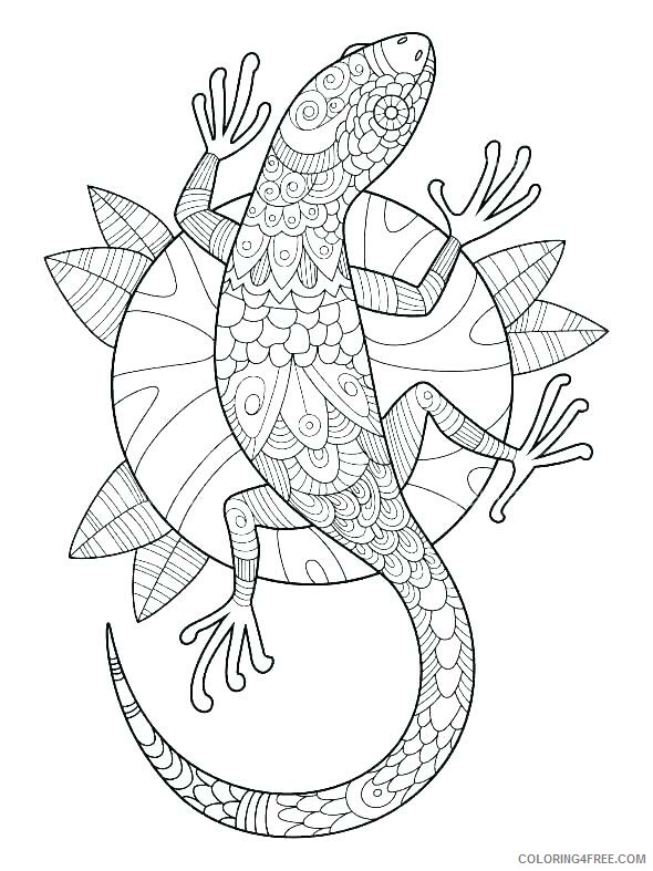 Adult Animals Coloring Pages Gecko for Adults Printable 2020 155 Coloring4free