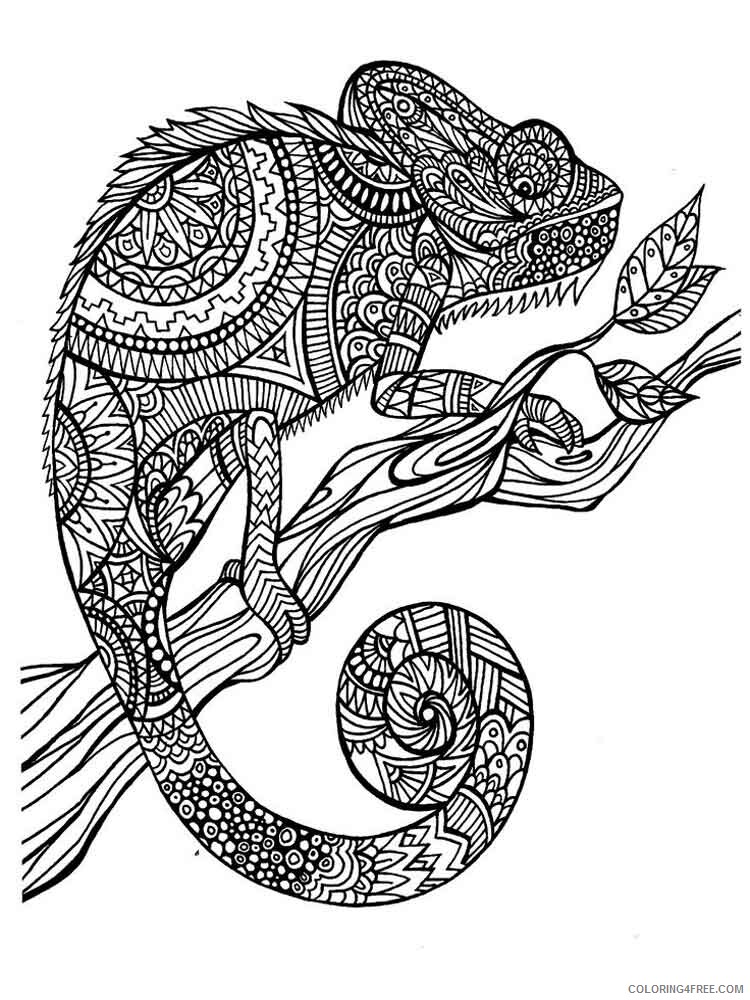 Adult Animals Coloring Pages adult animals 16 Printable 2020 092 Coloring4free