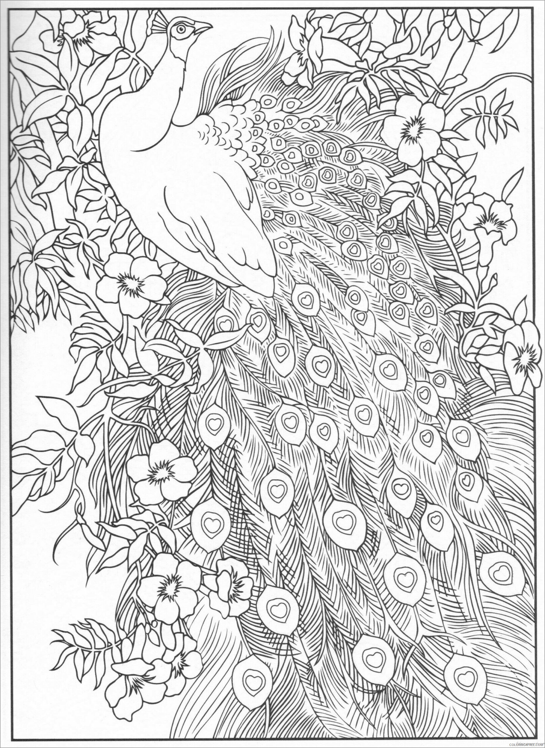 Adult Animals Coloring Pages beauty peacock for adult Printable 2020 129 Coloring4free